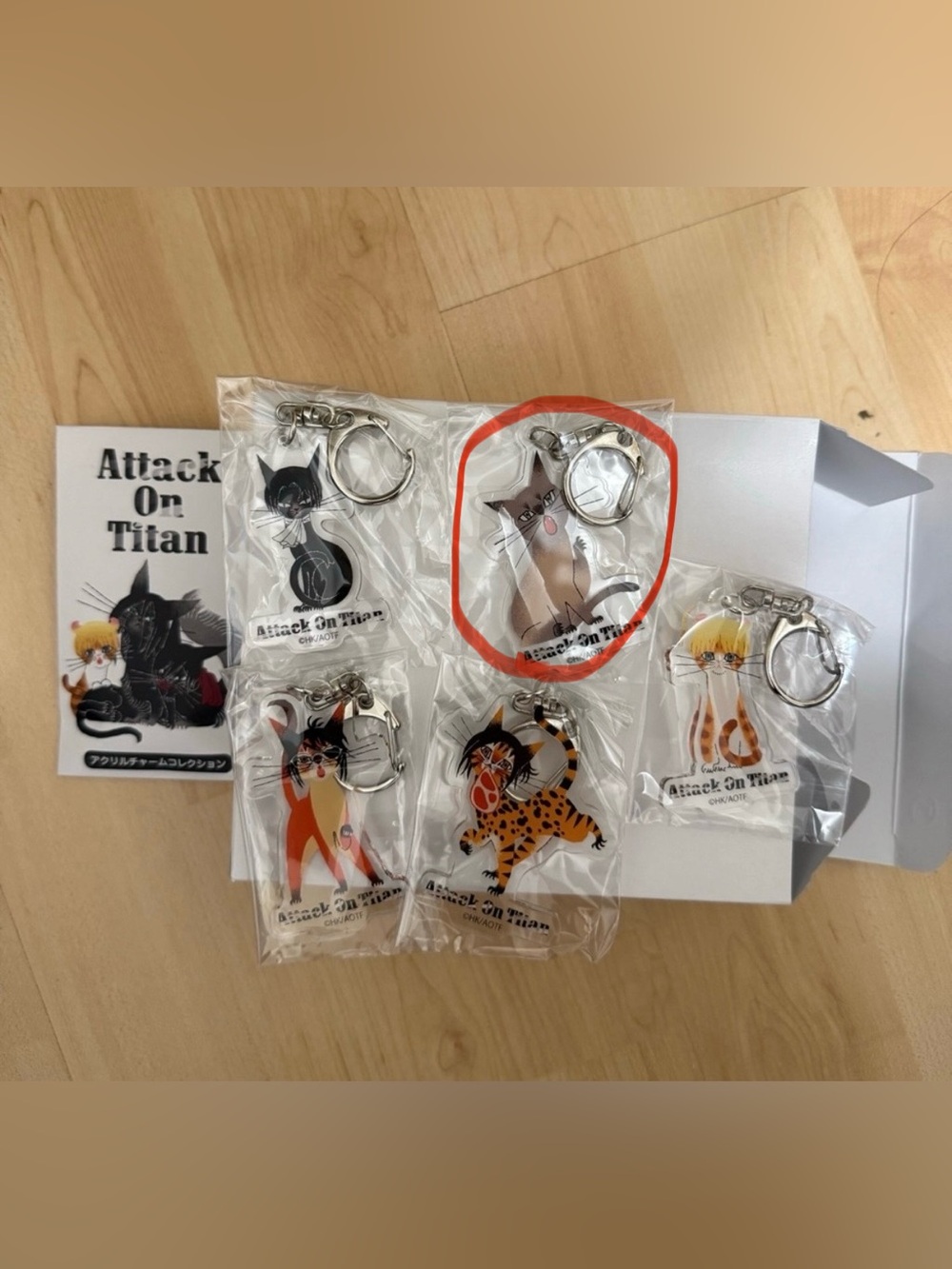 Attack on Titan AOT Connie RE:SHAZAM collab keychain official acrylic cat kitty